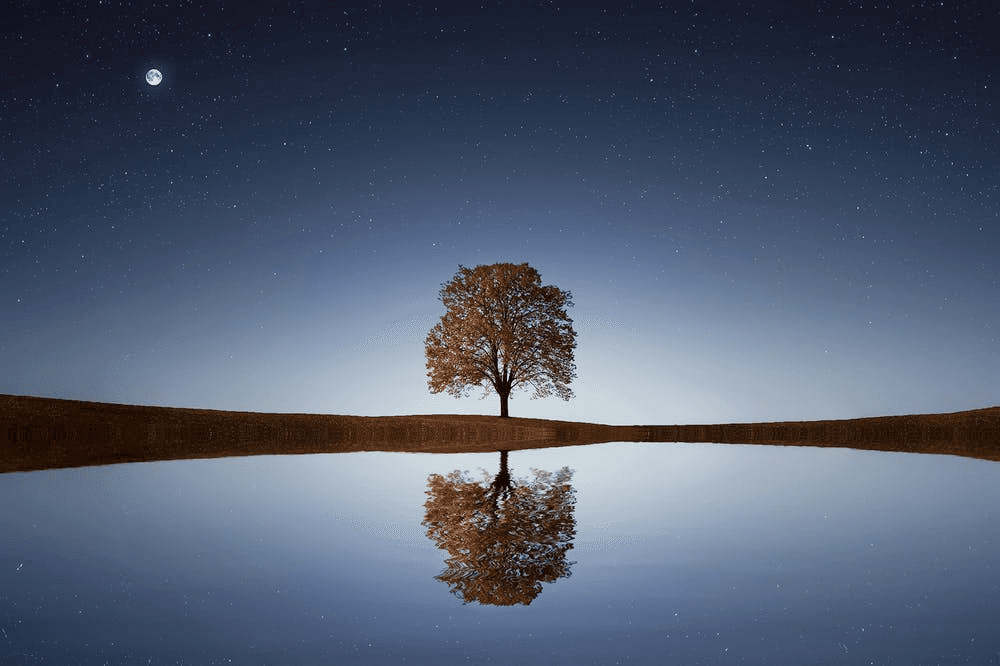 The Trip to Nowhere